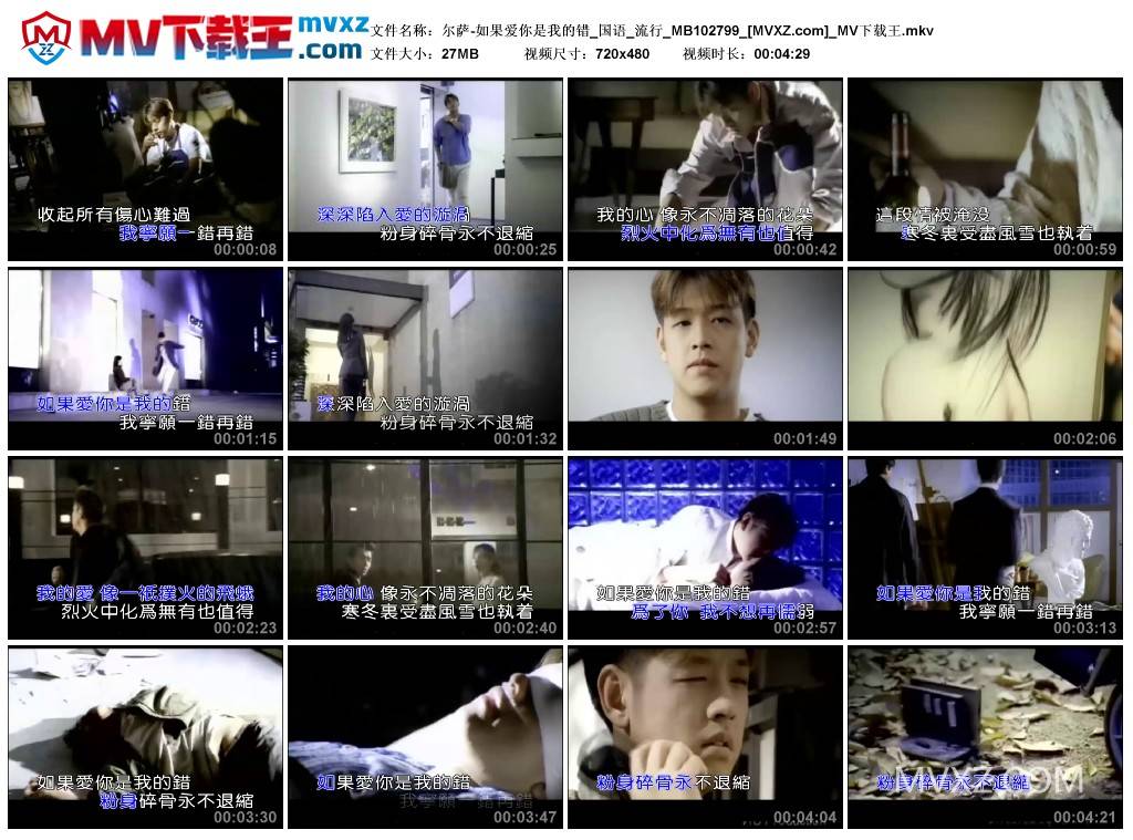 尔萨-如果爱你是我的错_国语_流行_MB102799